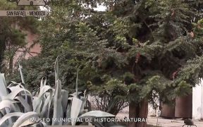 Mendoza tierra de museos - San Rafael