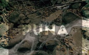 PUNA - Chica Cascada ft Mariana Paraway