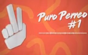 PURO PERREO #1 / Enganchado - Pareci